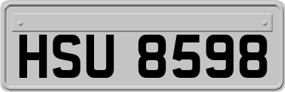HSU8598