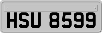 HSU8599