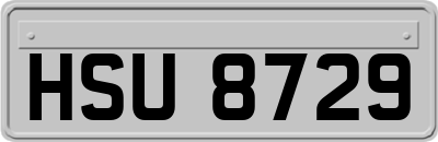 HSU8729