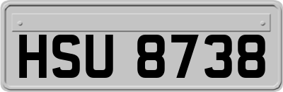 HSU8738