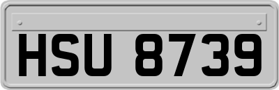 HSU8739