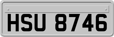 HSU8746