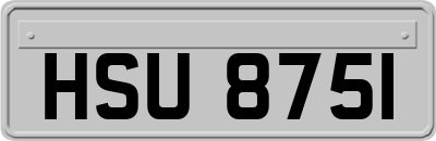 HSU8751