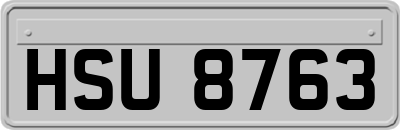 HSU8763