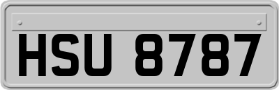 HSU8787