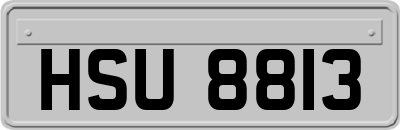 HSU8813