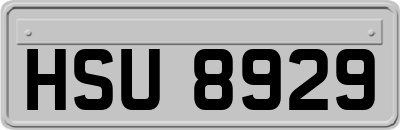 HSU8929