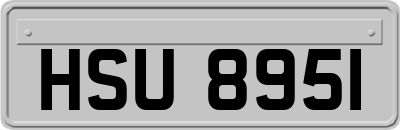 HSU8951