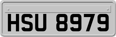 HSU8979
