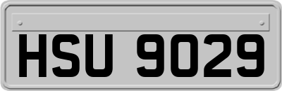 HSU9029