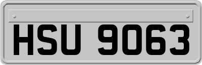 HSU9063