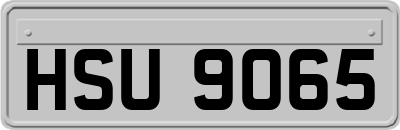 HSU9065