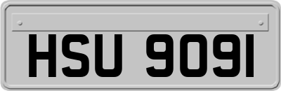 HSU9091