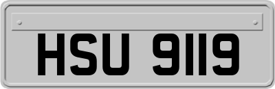 HSU9119