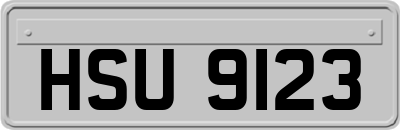 HSU9123