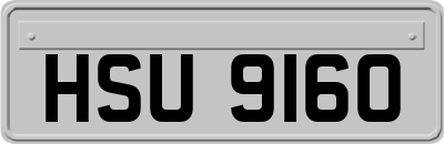 HSU9160