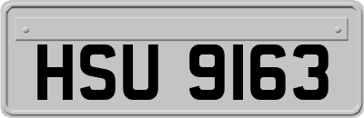 HSU9163