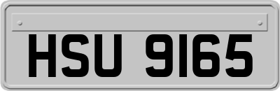 HSU9165