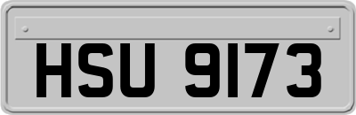 HSU9173