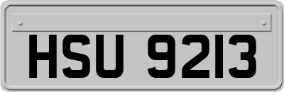 HSU9213