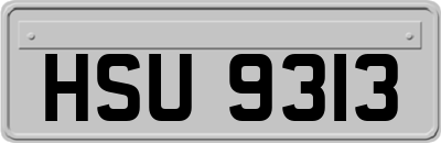 HSU9313