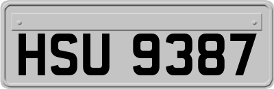 HSU9387