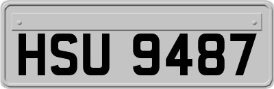 HSU9487