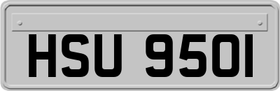 HSU9501