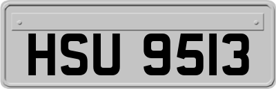 HSU9513