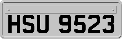 HSU9523