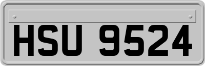 HSU9524