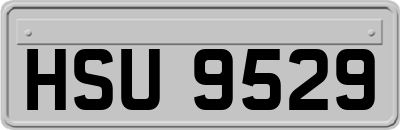 HSU9529