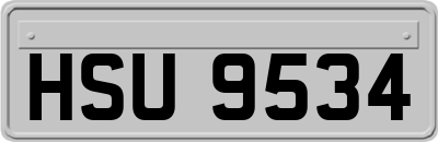 HSU9534