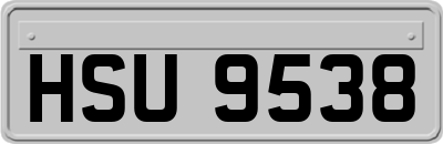 HSU9538