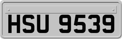 HSU9539
