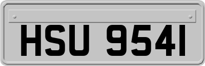 HSU9541