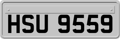 HSU9559