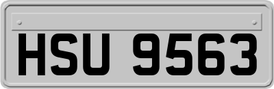HSU9563