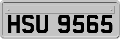 HSU9565