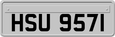 HSU9571