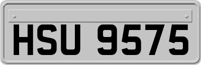 HSU9575