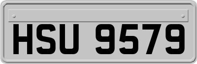 HSU9579