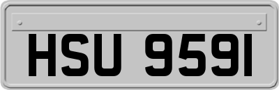 HSU9591