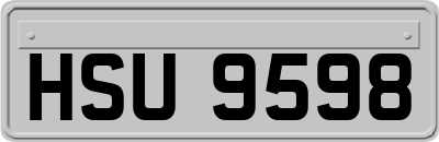 HSU9598