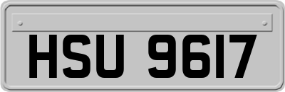 HSU9617