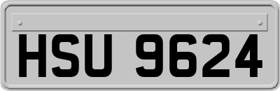 HSU9624