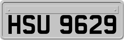HSU9629