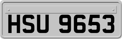 HSU9653