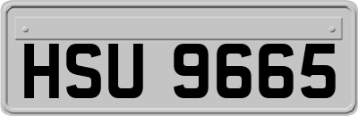HSU9665