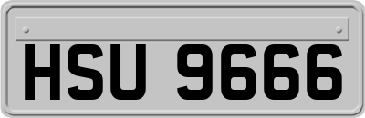 HSU9666